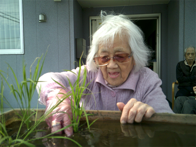 田植えをしました