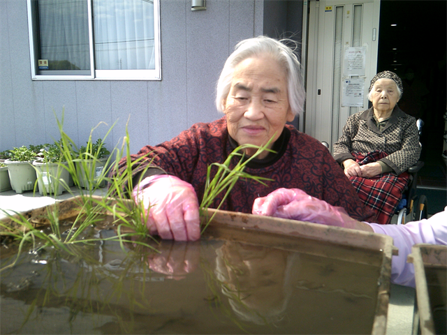 田植えをしました