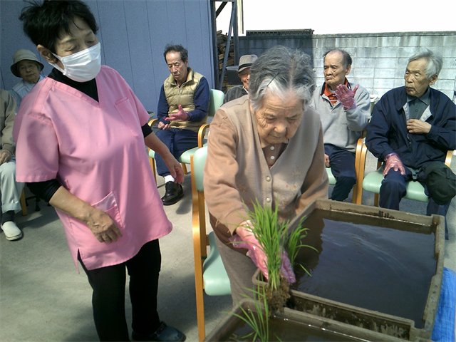 田植えをしました