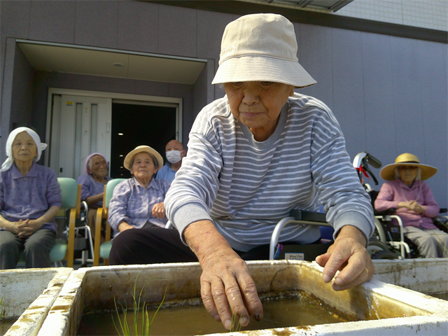 田植えをしました