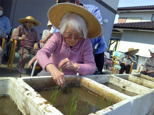 田植えをしました