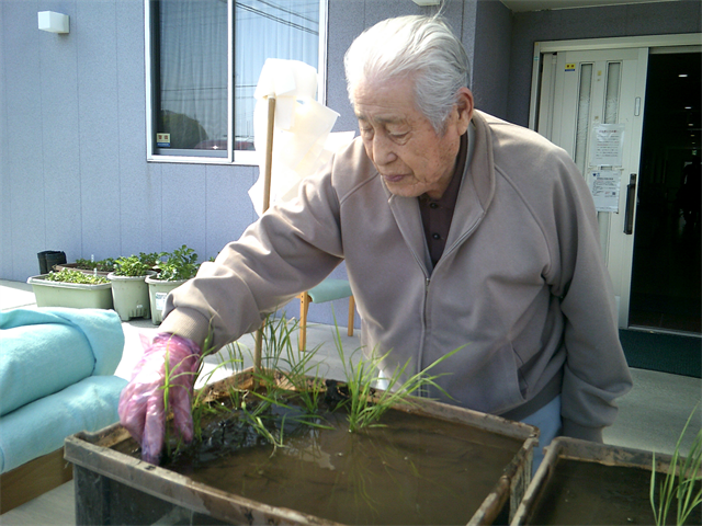 田植えをしました