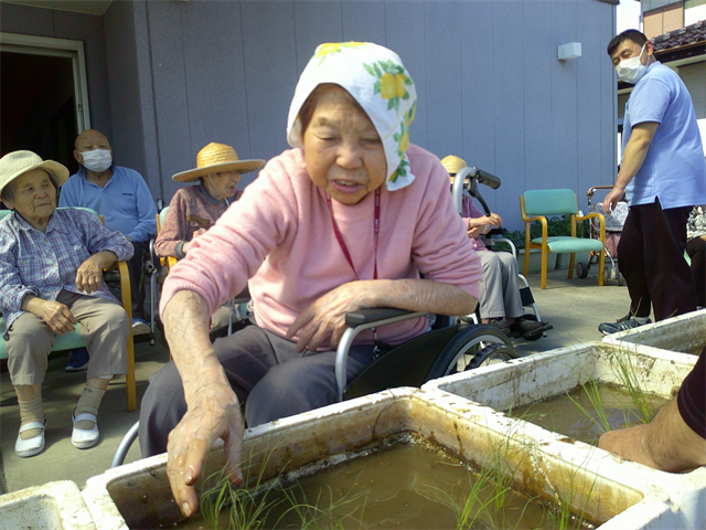 田植えをしました