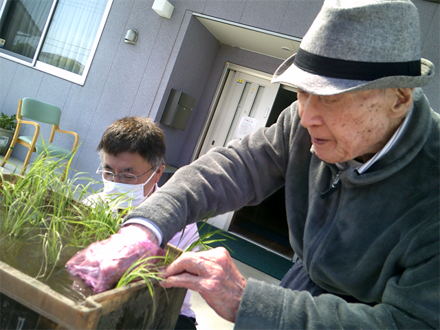 田植えをしました