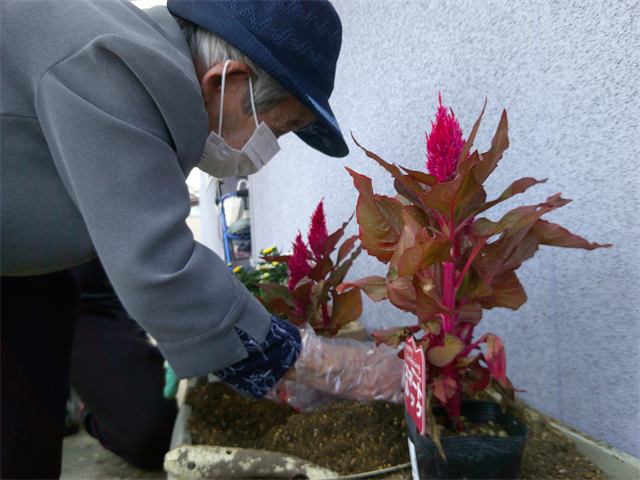 花植えしました