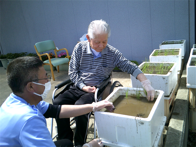 田植えしました