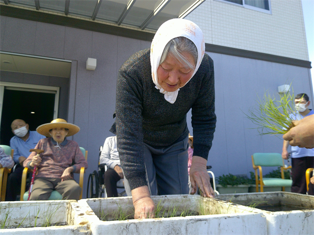 田植えをしました