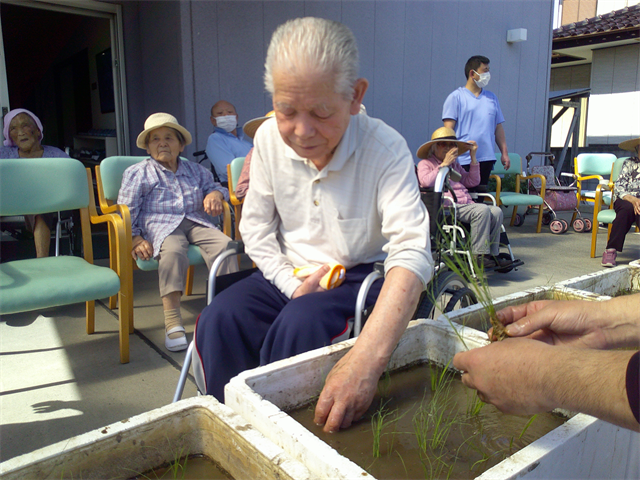 田植えをしました