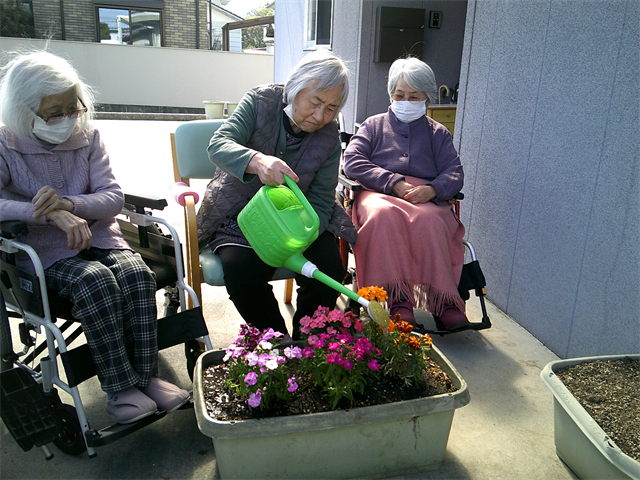 花に水あげしました