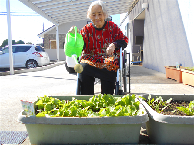 生活の一部を撮影