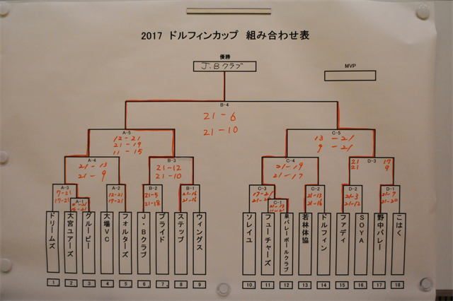 ドルフィンカップ