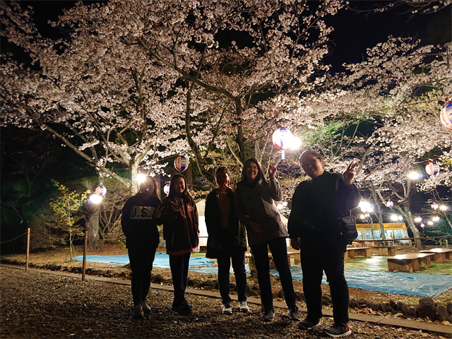 夜桜鑑賞