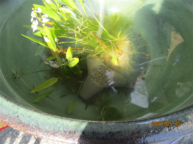 外気浴