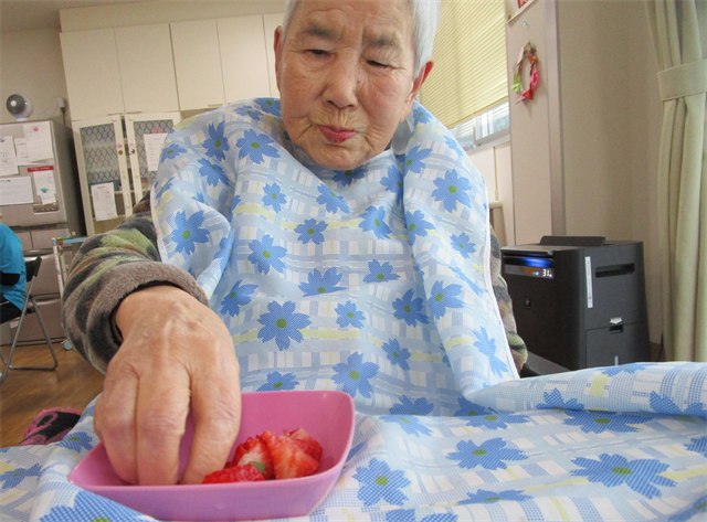 日常の様子