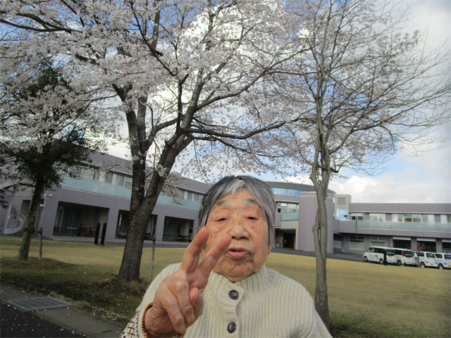 桜を見に行きました