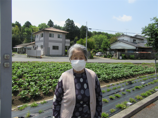 お散歩