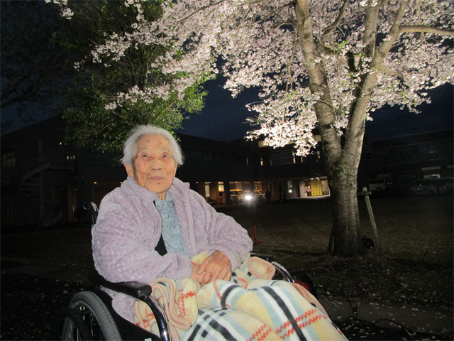 桜を見に行きました