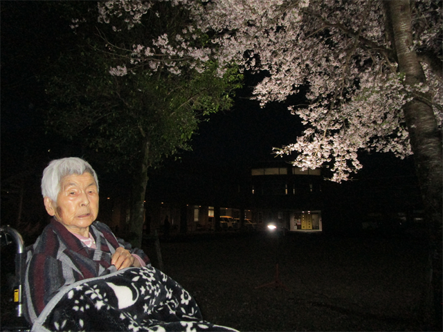 桜を見に行きました