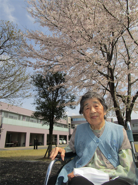 桜を見に行きました