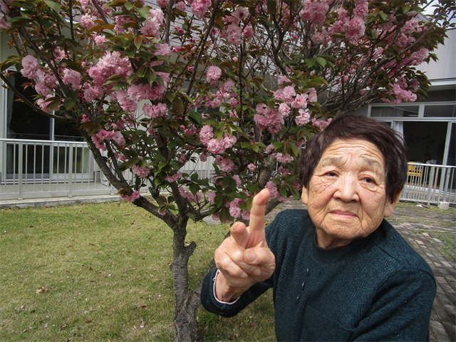 八重桜がきれいに