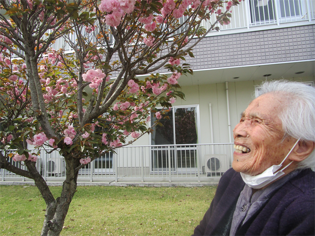 八重桜がきれいに