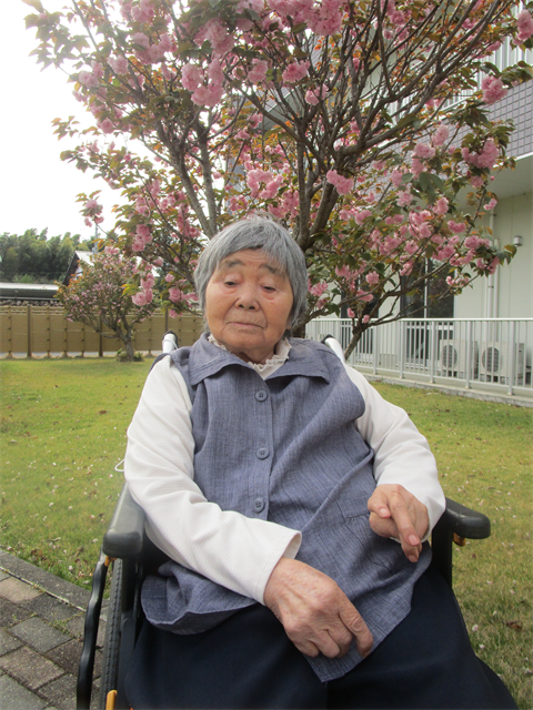 八重桜がきれいに