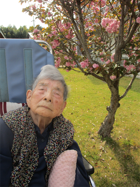 八重桜がきれいに