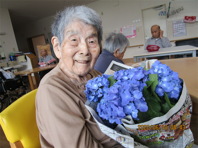 紫陽花