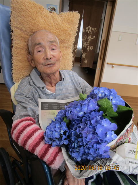 紫陽花