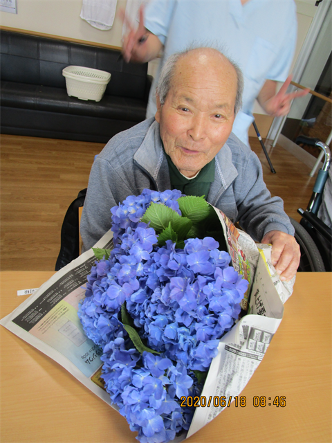 紫陽花