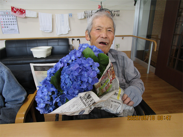紫陽花