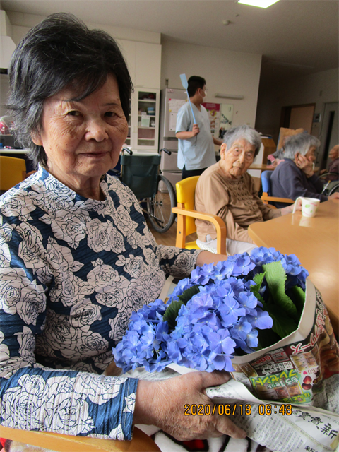 紫陽花