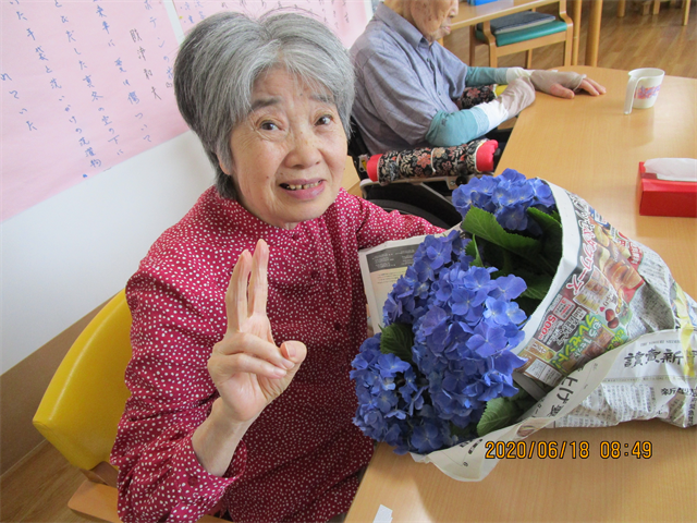 紫陽花