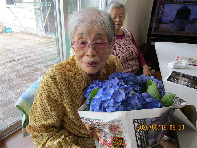 紫陽花