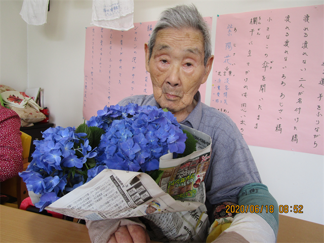 紫陽花