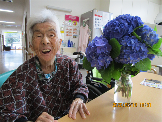 紫陽花