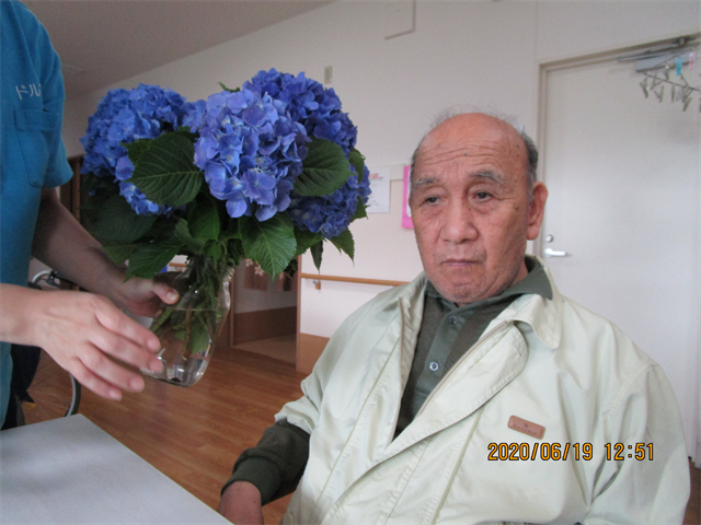 紫陽花