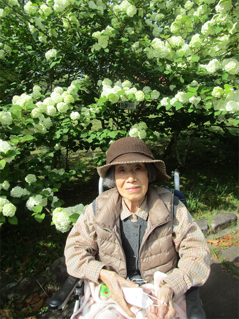 植物園にドライブ