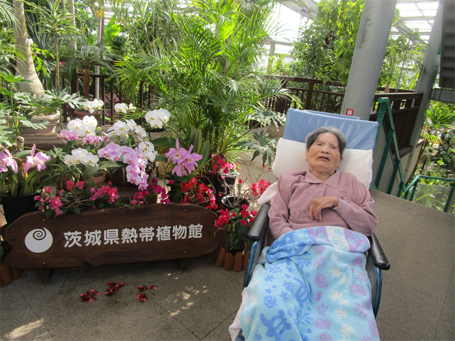 植物園にドライブ