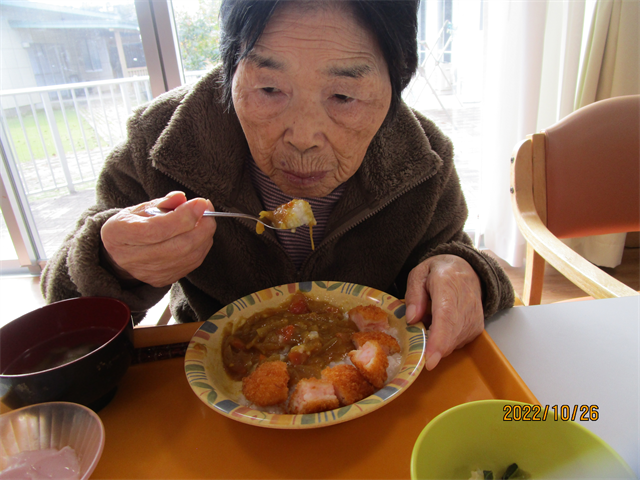 エビカツカレー