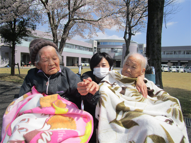 ドルフィンパークでお花見