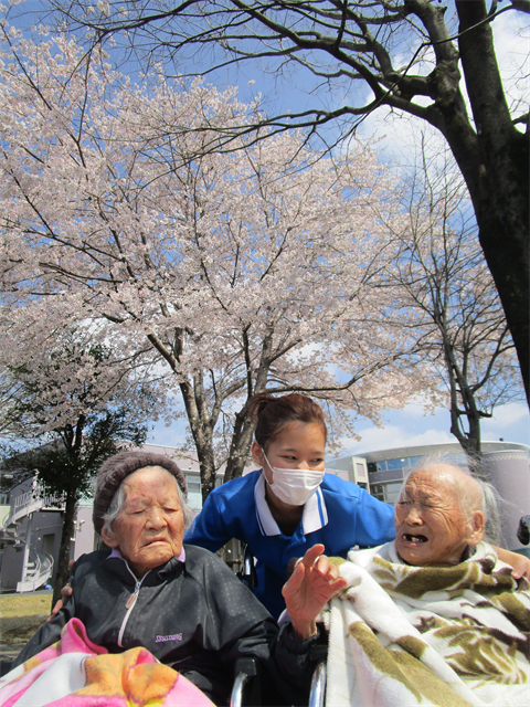 ドルフィンパークでお花見