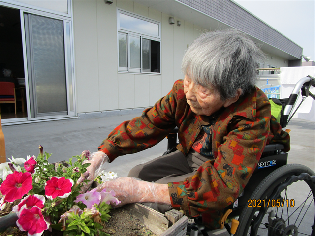 田植え、花植えしました