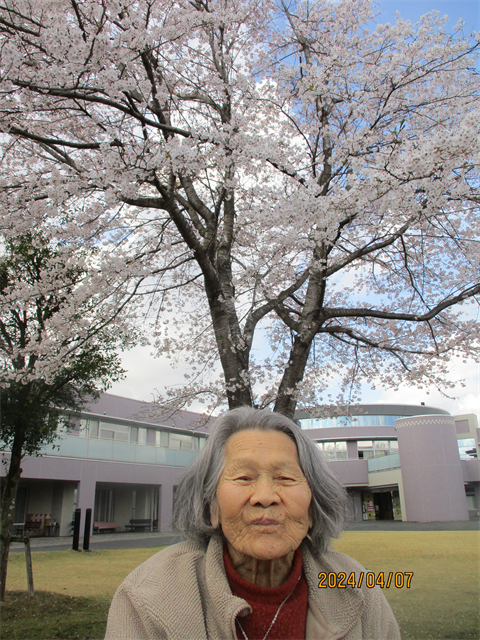 桜が咲きました