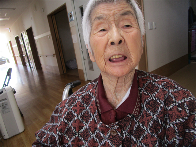 日常の写真