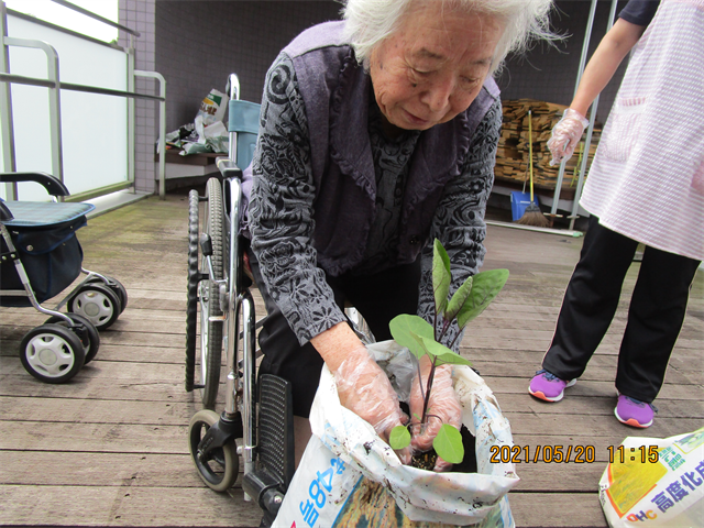 夏野菜上手く実るかな