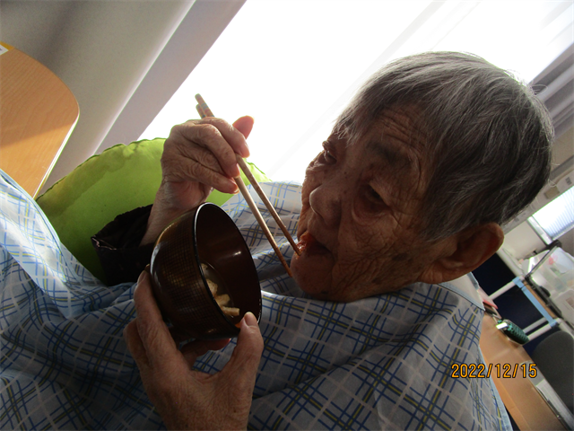 日常の写真