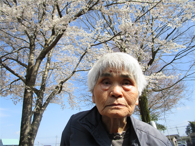 お花見しました