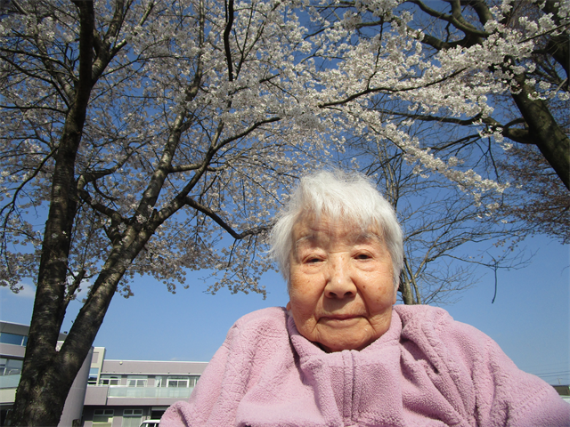 桜の木の下で