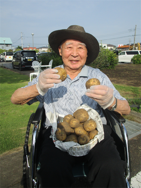 じゃがいもの収穫